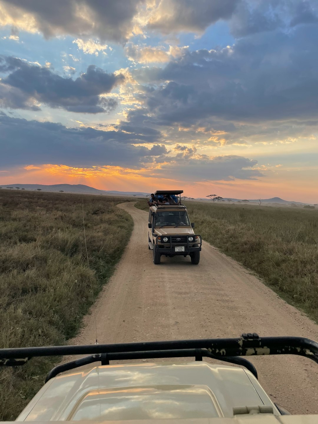 Serengeti Sunset